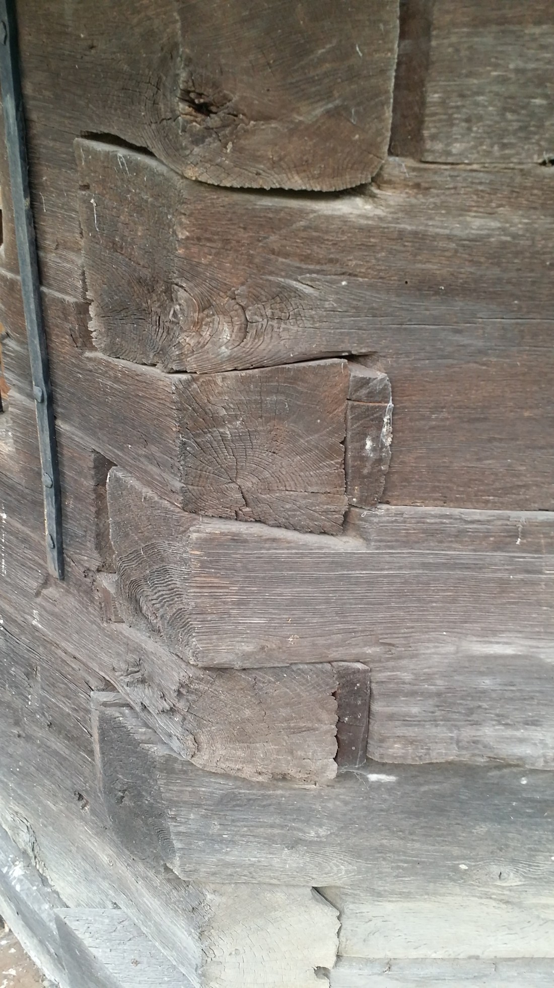 20181020_113032_Richtone(HDR)