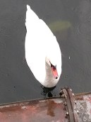 IMG_20181002_090253269