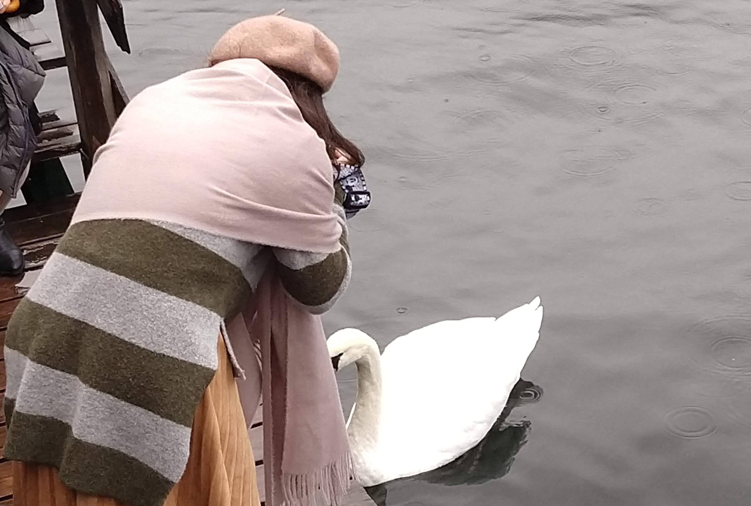 IMG_20181002_090706097