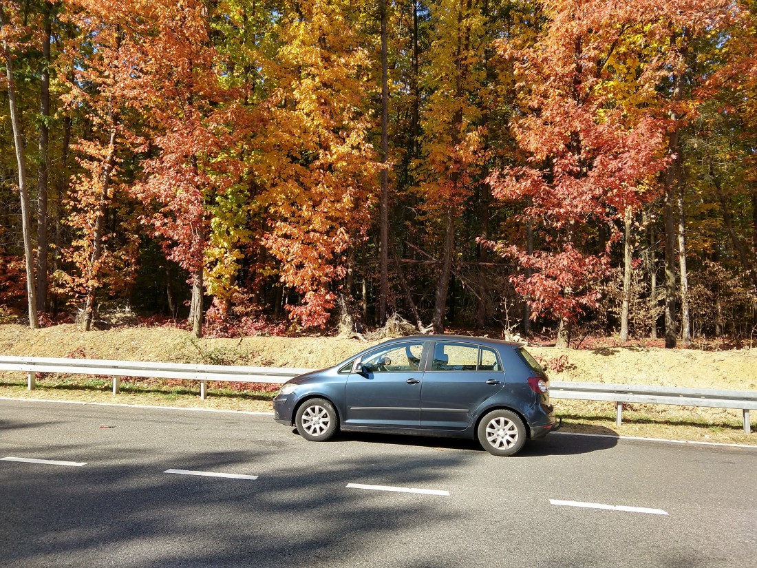 IMG_20181010_123355759_HDR