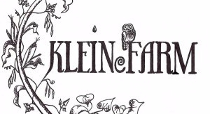 Klein_e_Logo-fI-post1-e1364847287848