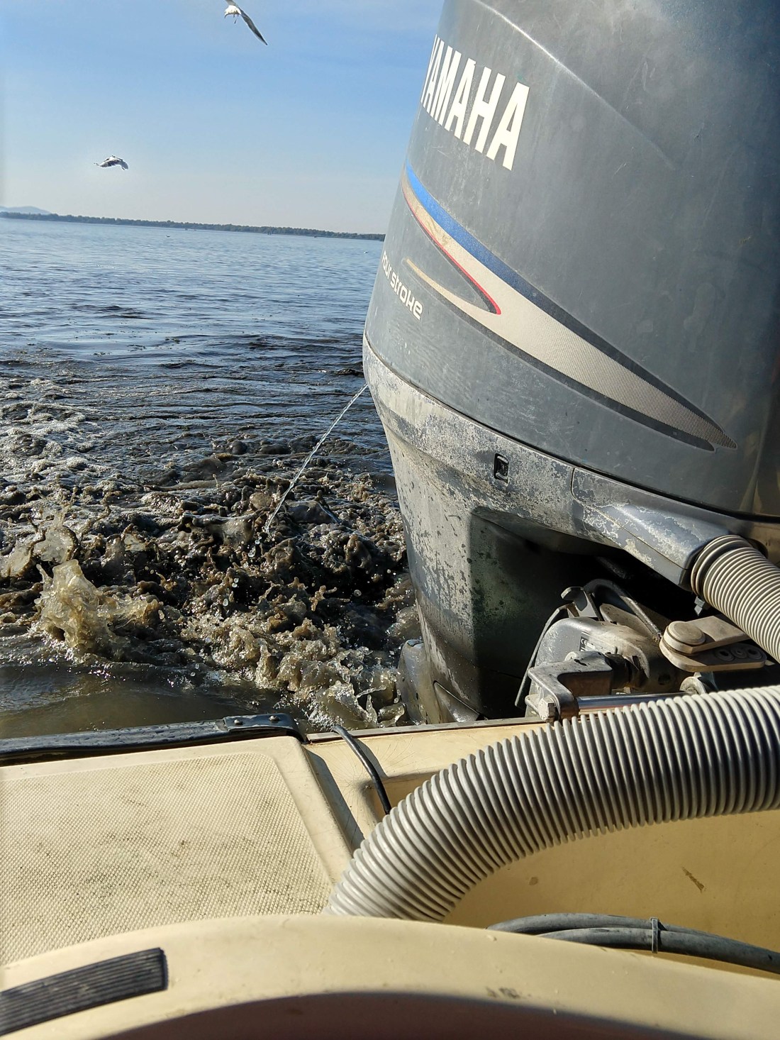 IMG_20181027_112113108_HDR