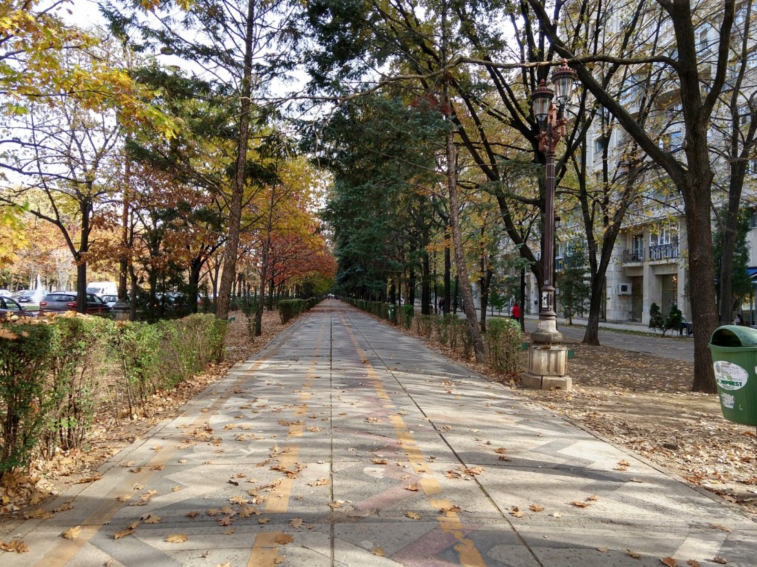 IMG_20181029_131835592_HDR