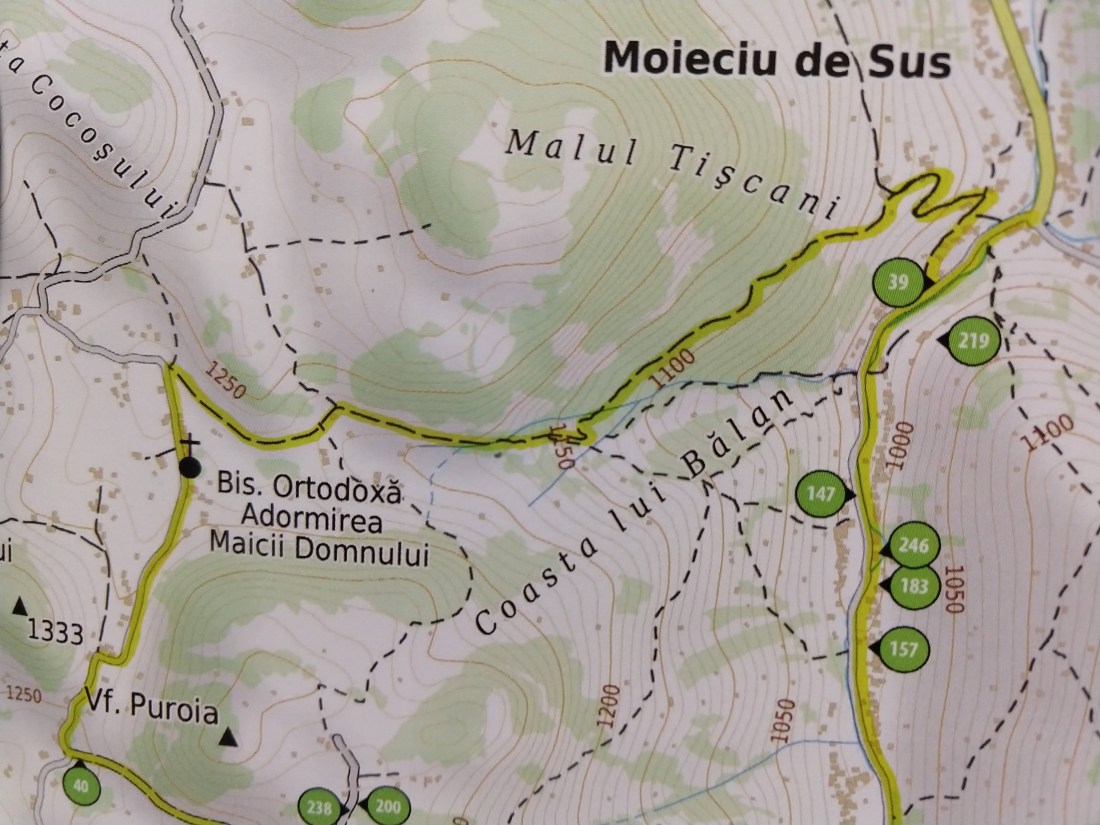 IMG_20181119_093952711