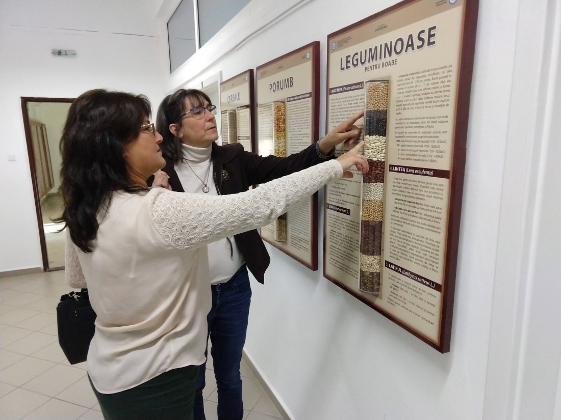 img_20181011_174452261