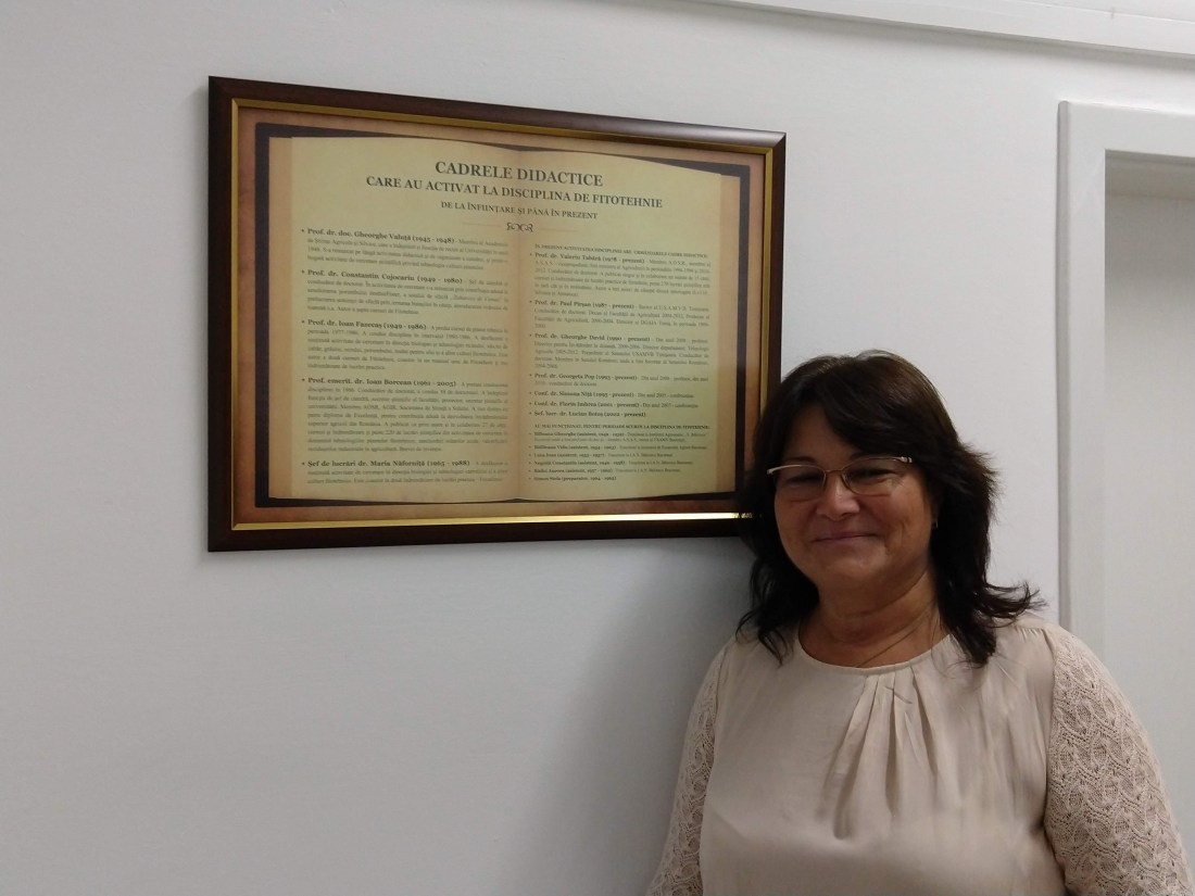 img_20181011_180705814